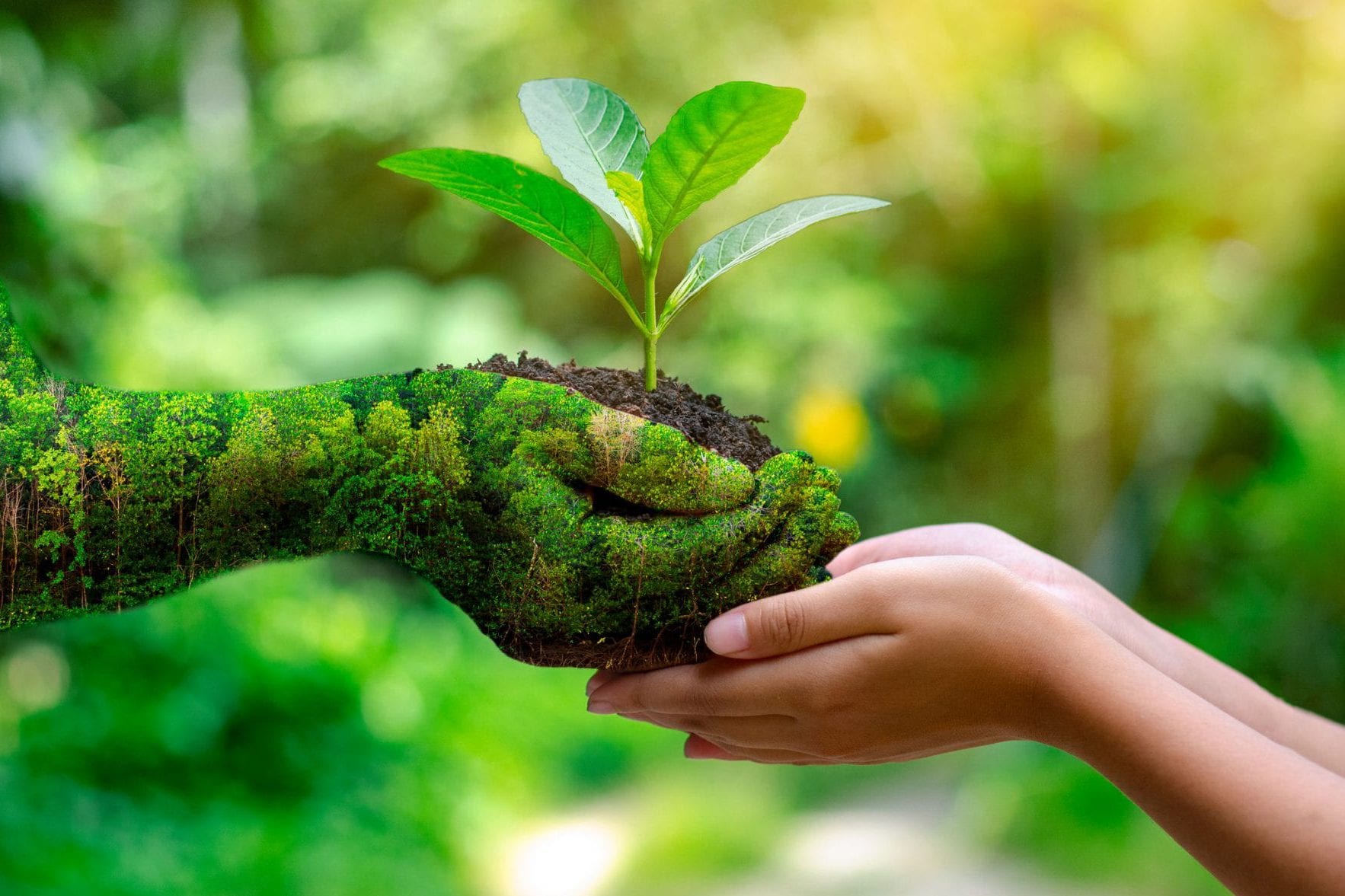 © Fotolia