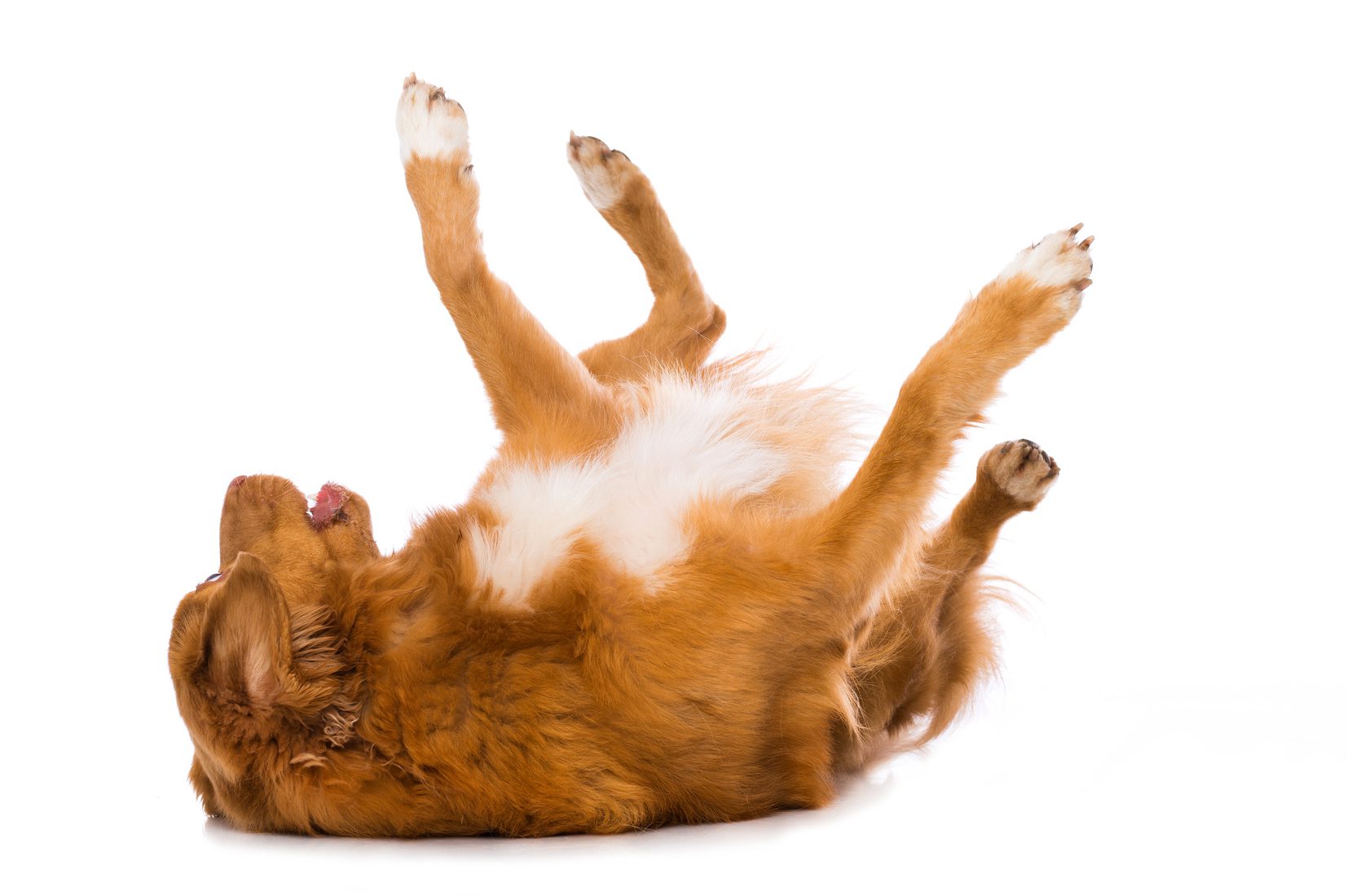© Fotolia